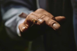 Artist Interview Series: Zoe Salt