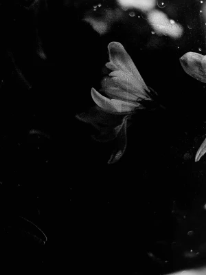 How to be creative in the age of AI