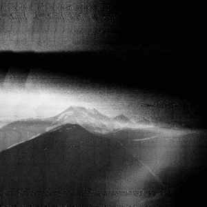 How to build a brand on a budget